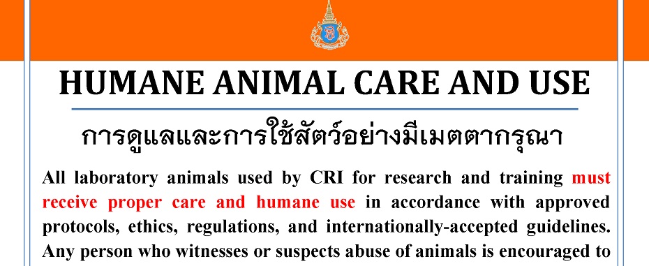 Report Animal Concern